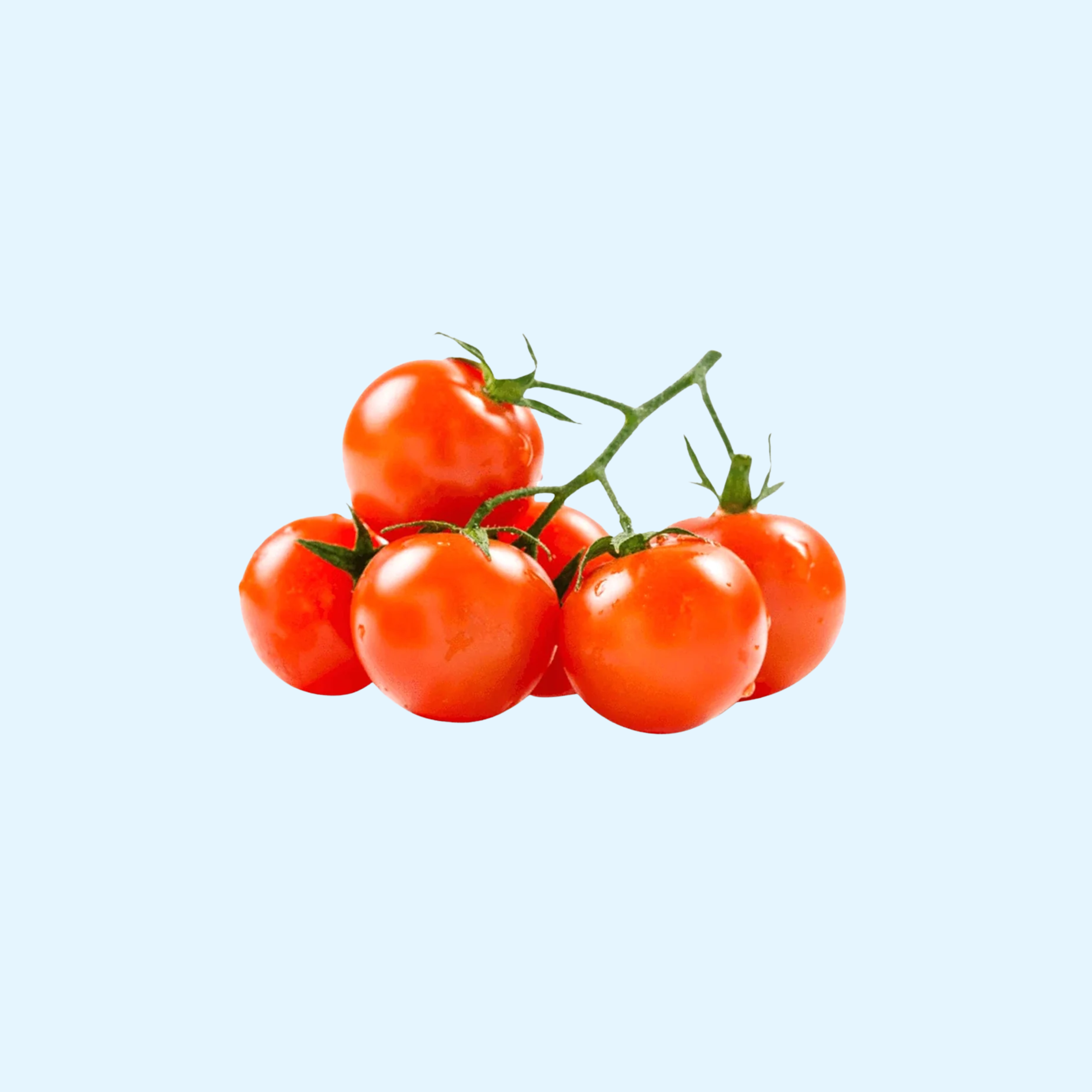 Fresh Tomato